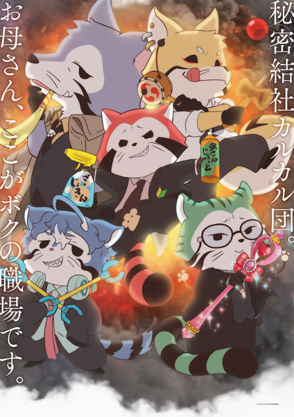 『あらいぐま カルカル団』