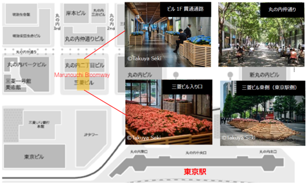 写真展「熱帯植物から覗く世界」の会場Marunouchi Bloomway