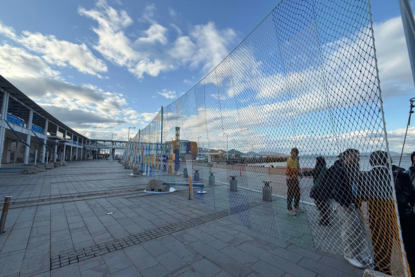 この“巨大な網“はいったい何？ ニューヨーク・タイムズ誌も認める