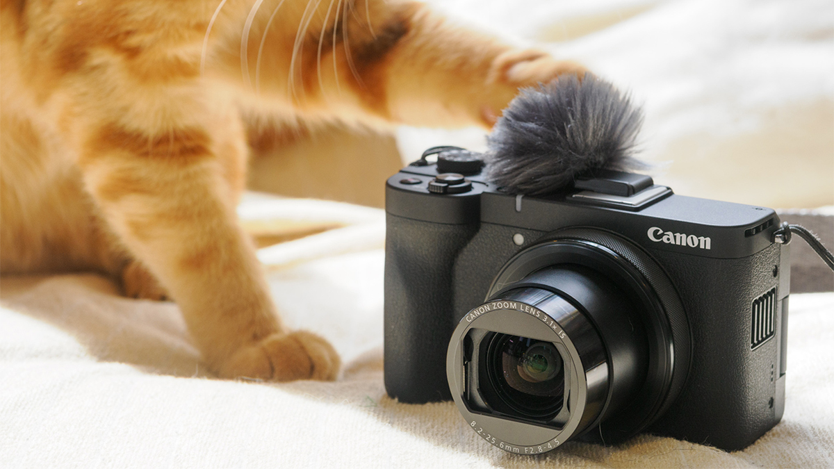 ASCII.jp：小型コンデジ「Powershot V1」で超広角猫撮影を楽しむ