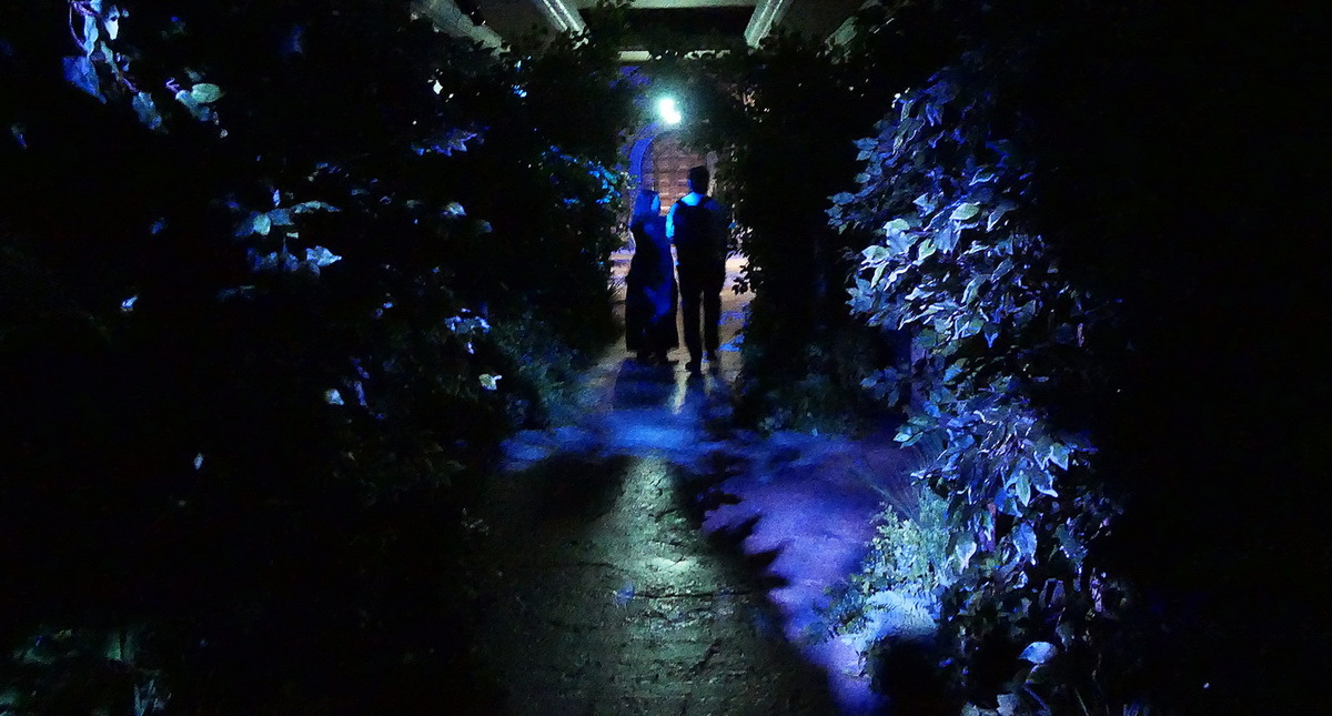 イマーシブ・フォート東京「真夜中の晩餐会」開幕