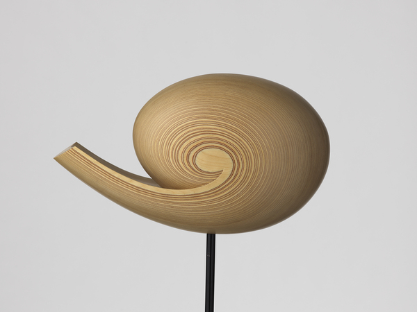 シェル（巻貝）