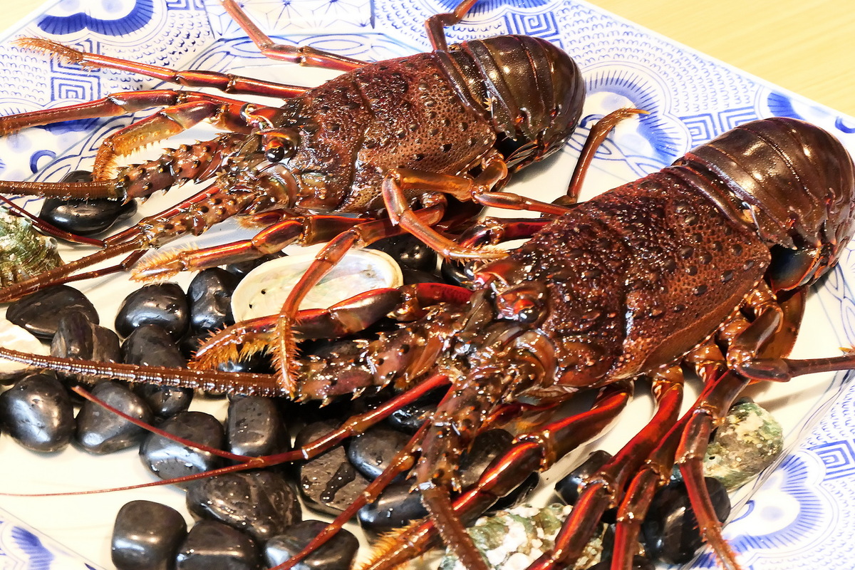 横浜港一望の伊勢海老レストラン「中納言」開店