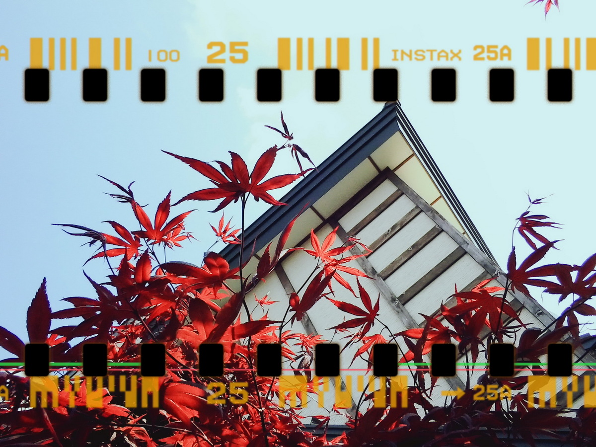 ハイブリッドインスタントカメラ「instax WIDE Evo」実機レビュー