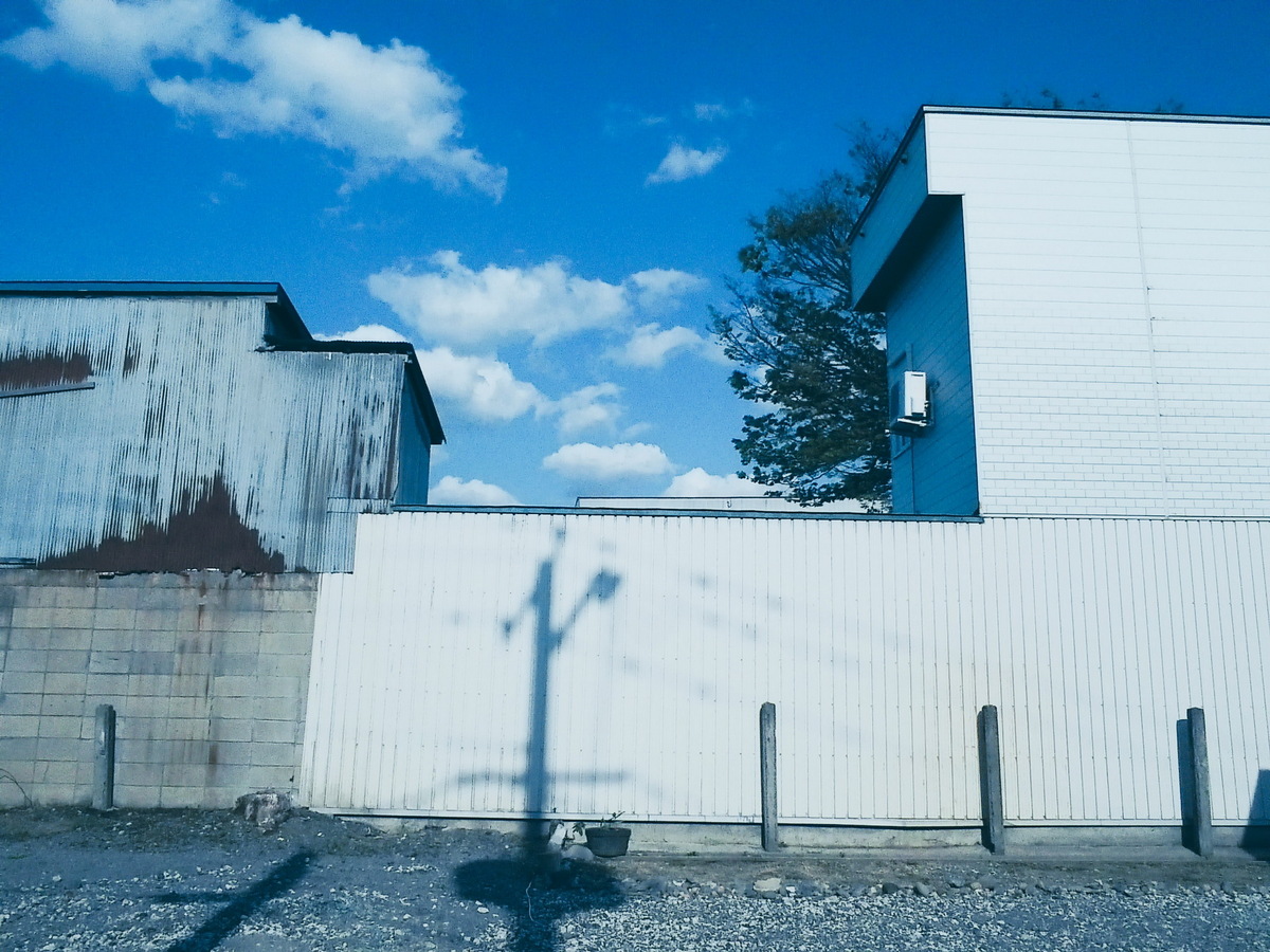 ハイブリッドインスタントカメラ「instax WIDE Evo」実機レビュー