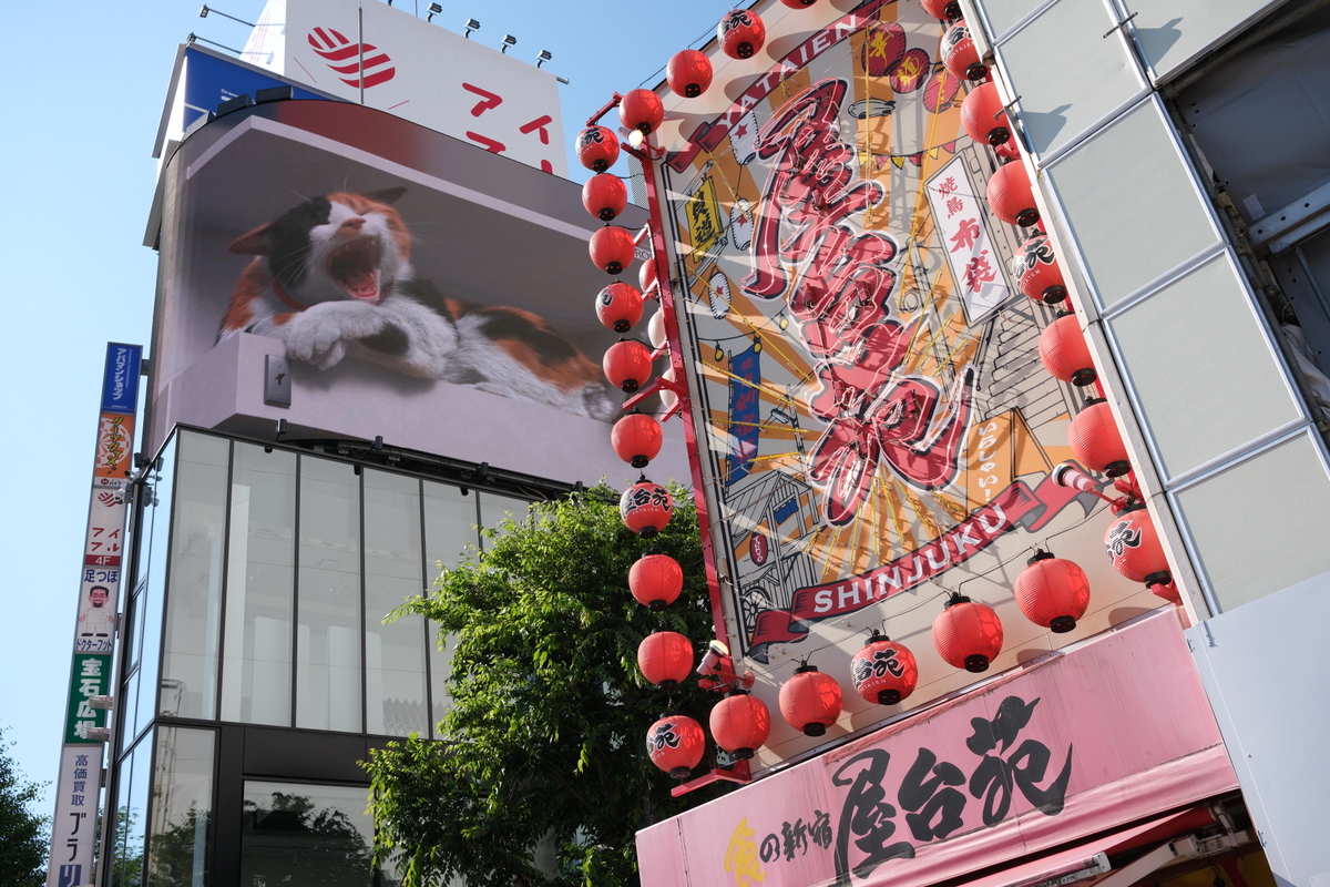 「X-E5」実写レビュー