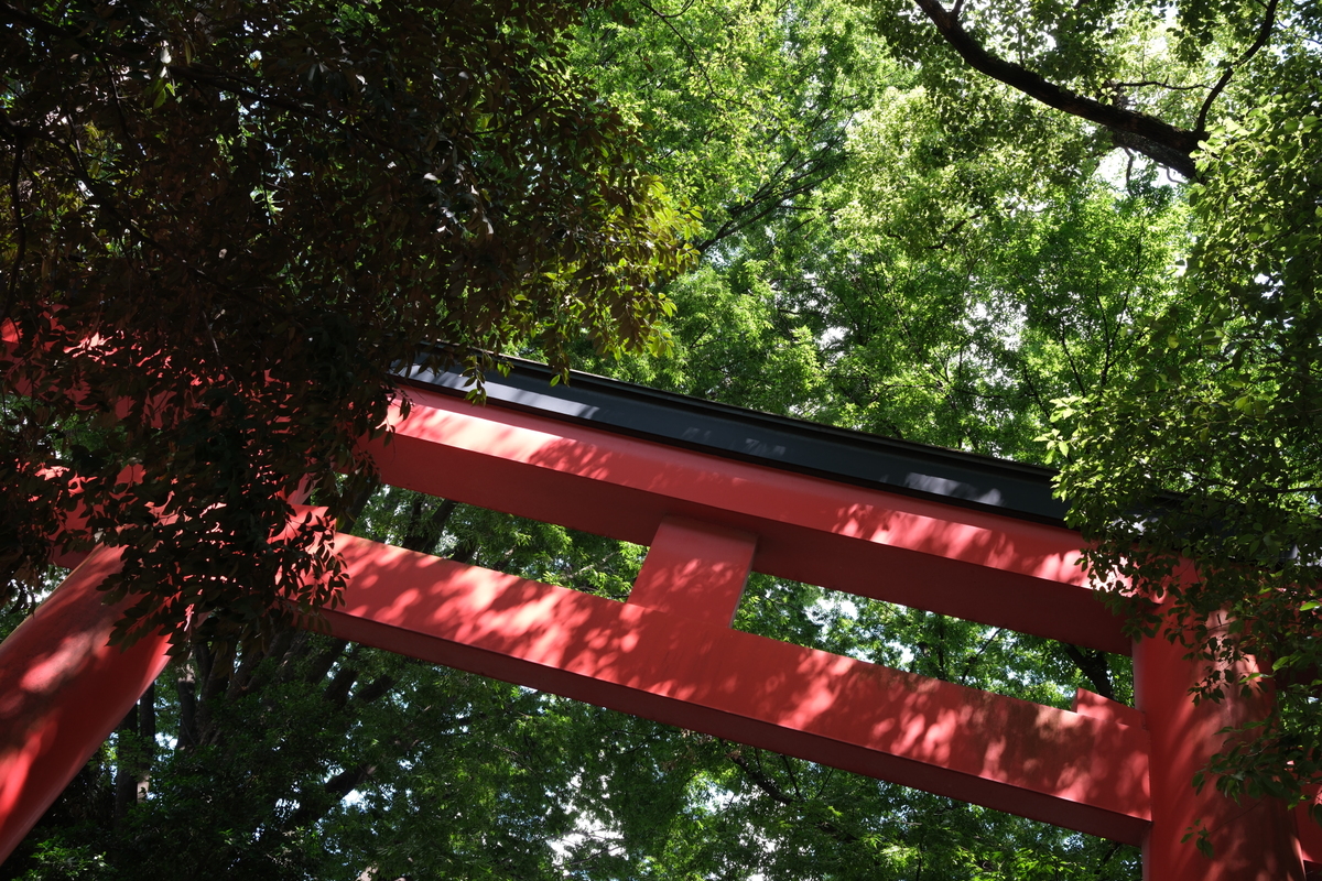 「X-E5」実写レビュー