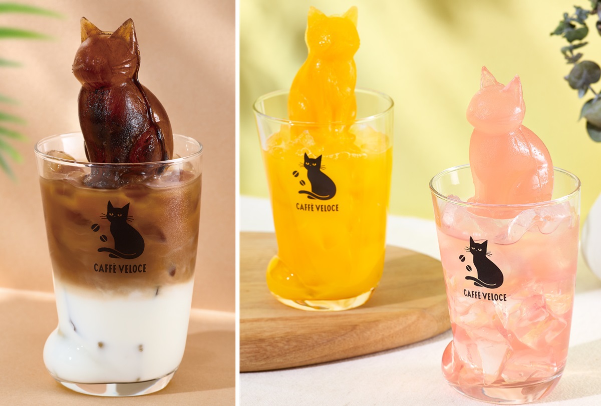 リクエスト専用　青いお花　氷　猫　5個セット リクエスト専用 青いお花 氷 猫 5個セット リクエスト専用 青いお花 氷