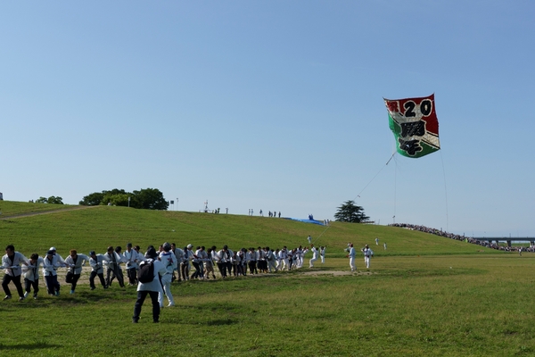 春日部大凧あげ祭り