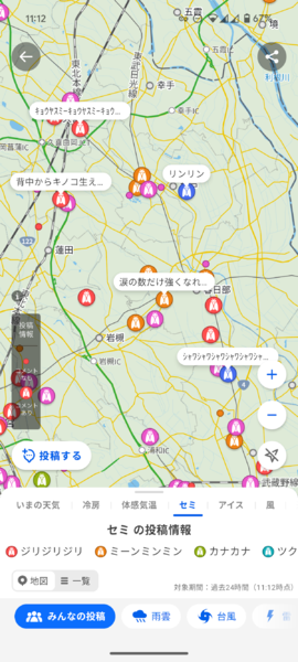 「セミ」モードの投稿の一例