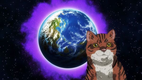 『ニャイト・オブ・ザ・リビングキャット』