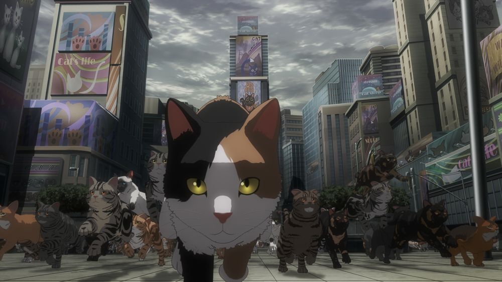 『ニャイト・オブ・ザ・リビングキャット』