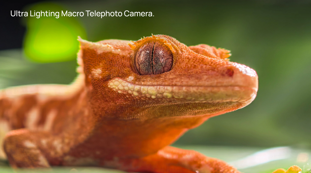 “現地速報「Pura80