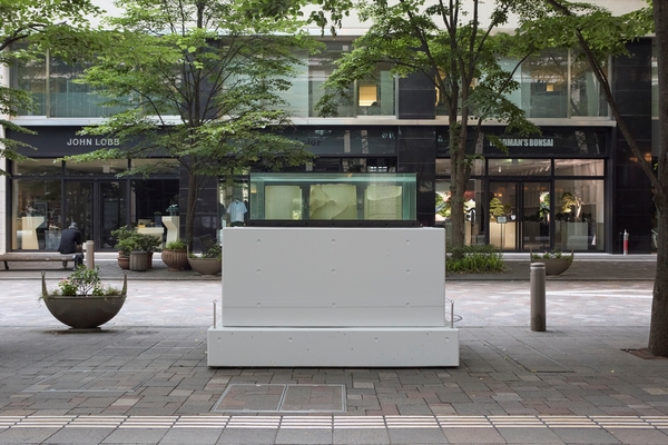 No.2506031　イワタルリ