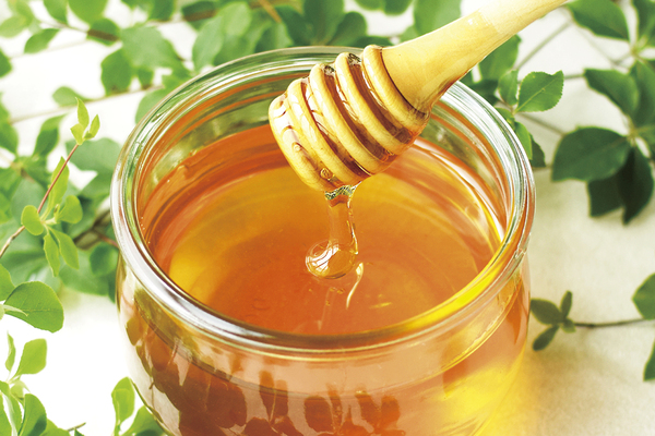 ラベイユの「採れたて国産新蜜フェア」