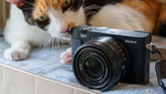 10年ぶりに登場した高級コンデジ「ソニー RX1R III」は機動力高めで猫撮りに最適