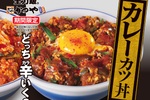 ＼本日発売／かつや「カレーカツ丼」など残暑をのりきる辛旨2種