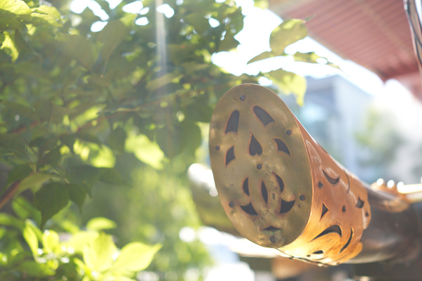 SONY「RX1RⅢ」実機レビュー