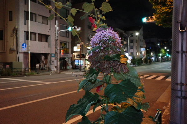 リコー「GRIV」実機レビュー