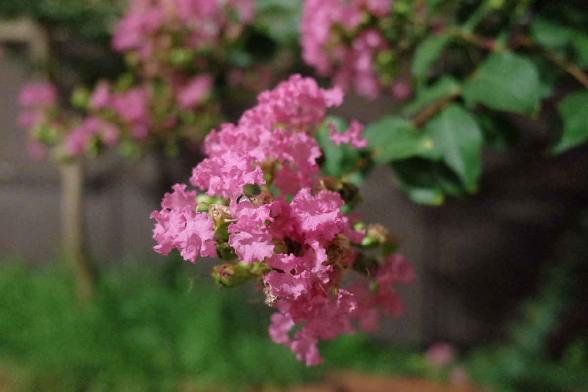 リコー「GRIV」実機レビュー