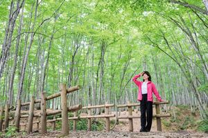 美しいブナ林と薬湯、魚沼の味覚を楽しむ秋旅