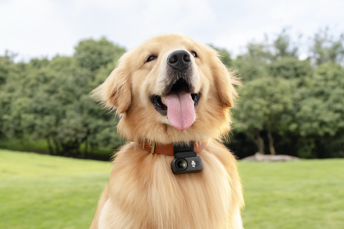 DJIが超小型アクションカメラ「Osmo Nano」発表