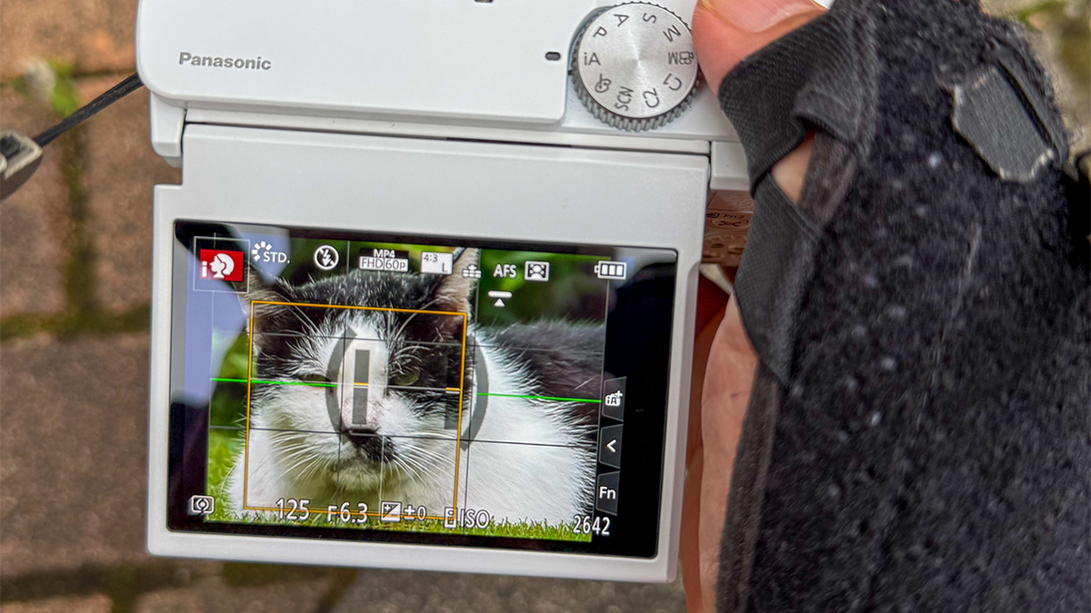 ルーシー 様 Amazon.co.jp: ヴァイスシュヴァルツ FAIRY TAIL 100年クエスト 煌めく