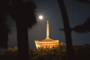 自然と音楽の調和を愛でる「観月会」で横浜・三溪園の夜を楽しむ