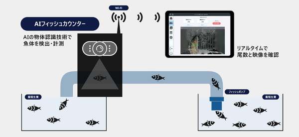 AI物体認識技術で魚体数を計測、自動尾数カウントシステム「AIフィッシュカウンター」提供開始