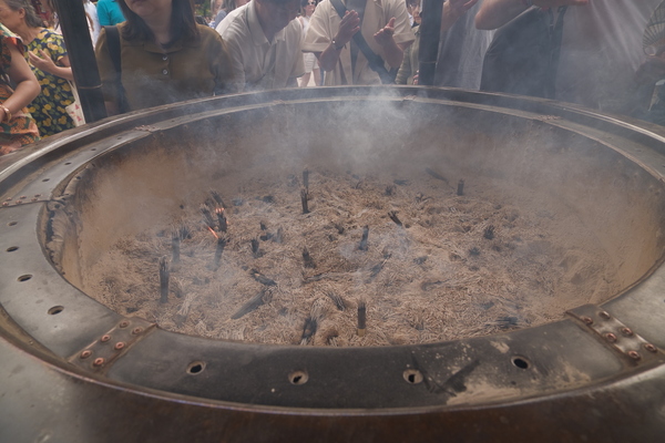 シグマ「20-200mm」実機レビュー