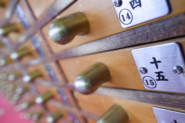 シグマ「20-200mm」実機レビュー