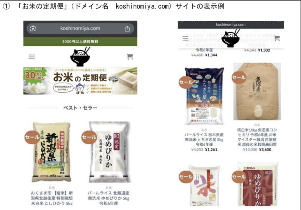 偽サイトの表示例