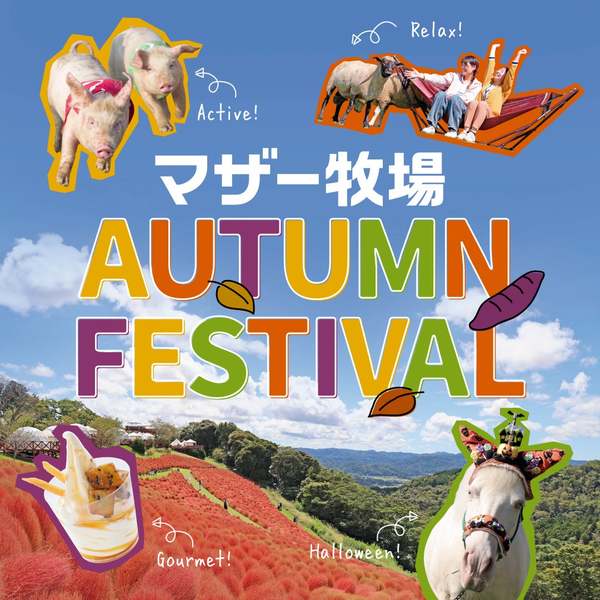 羊を数えて昼寝したり2026年の干支にちなんで「馬づら度」を測ったり