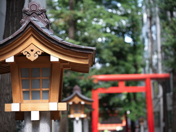 「X2DII100C」実写レビュー