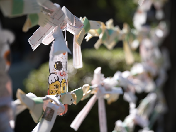 「X2DII100C」実写レビュー