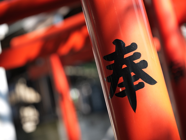 「X2DII100C」実写レビュー