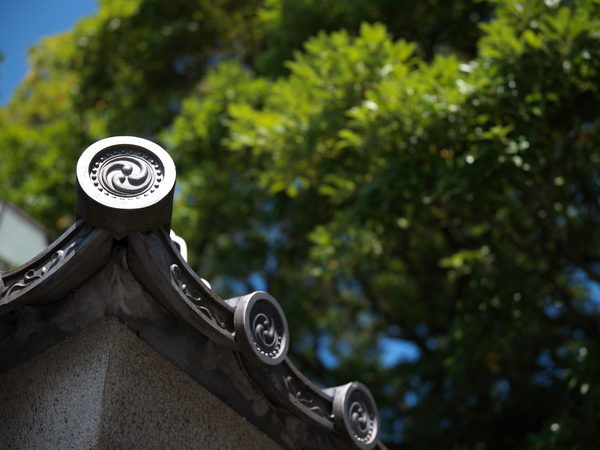 「X2DII100C」実写レビュー