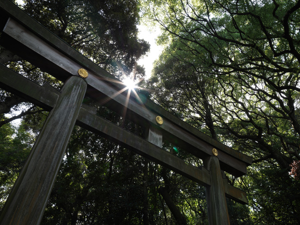 「X2DII100C」実写レビュー