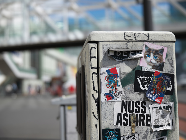 「X2DII100C」実写レビュー