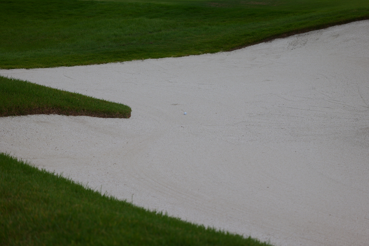 「LUMIX S 100-500mm F5-7.1 O.I.S.」実写レビュー