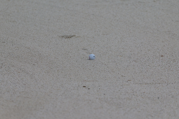 「LUMIX S 100-500mm F5-7.1 O.I.S.」実写レビュー