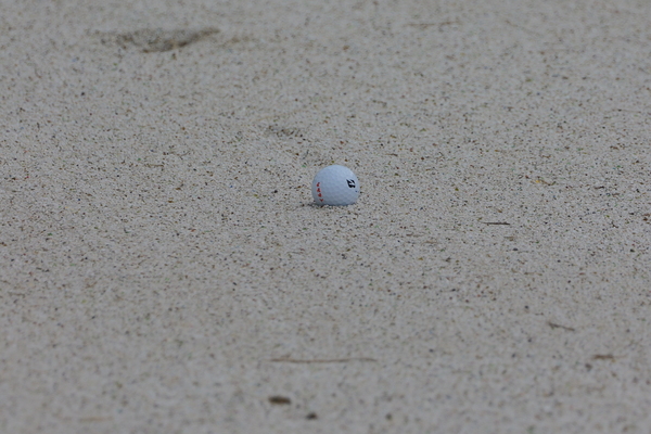 「LUMIX S 100-500mm F5-7.1 O.I.S.」実写レビュー