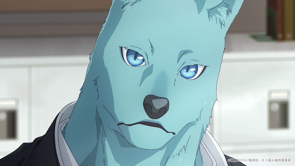 『キミと越えて恋になる』