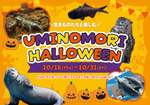 仙台うみの杜水族館のイベント「UMINOMORI HALLOWEEN」で生きものたちと一緒にハロウィン！【常磐自動車道 仙台港ICから約1km】