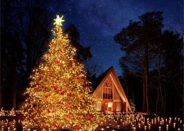 星降る森のクリスマス」軽井沢の輝く星々の下でロマンチックな一夜を
