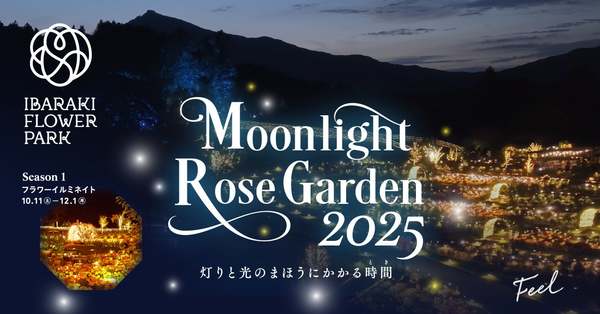 秋バラとマリーゴールドが幻想的に浮かび上がるライトアップイベント「Moonlight Rose Garden2025」開催