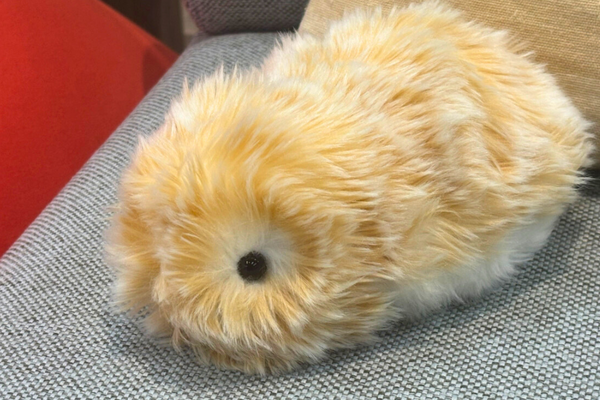 売り切れ続出、もこもこAIペットで俺のメンタルが回復するなんて！