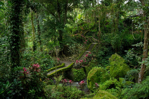 タムロンが8倍ズーム「25-200mm F/2.8-5.6 Di III VXD G2 (Model A075)」発表