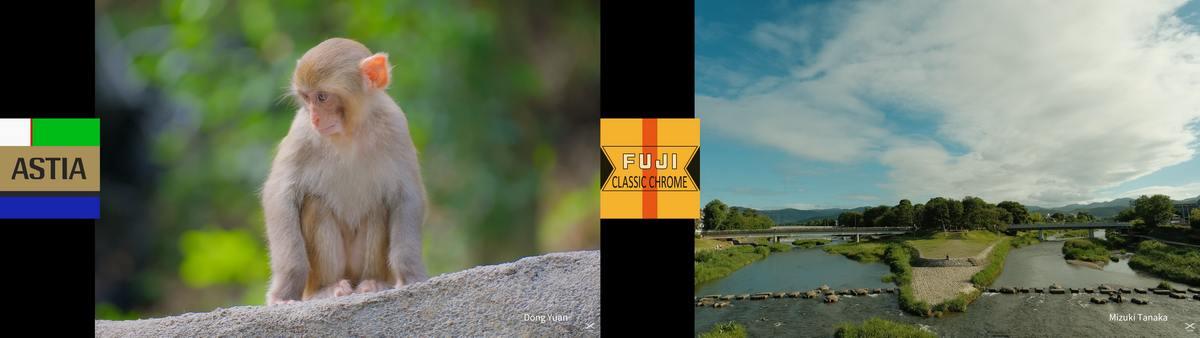 「FUJIFILM X-T30 III」発表