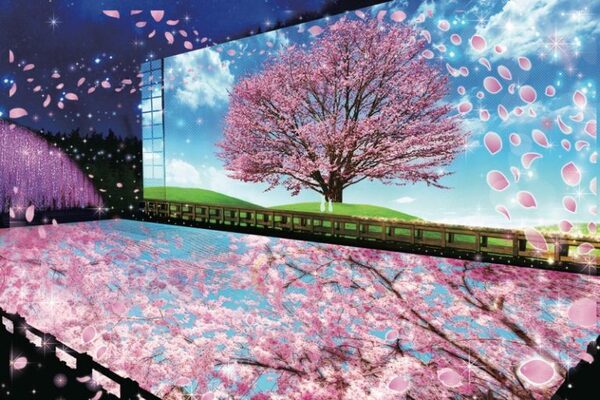 新たな「日本三大イルミネーション」はどこ!?東日本ランキングTOP10が発表！